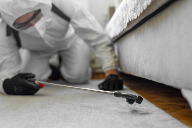 Professional Bed Bug Control technician working in Lake Worth, TX